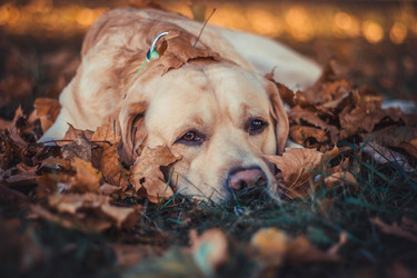 Similar image 12977471