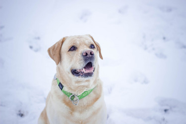 Similar image 12977473