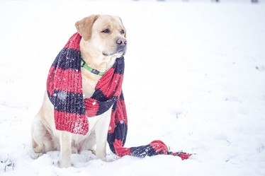 Similar image 12977474