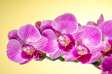 Similar image 12977997