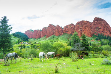 Similar image 12988793