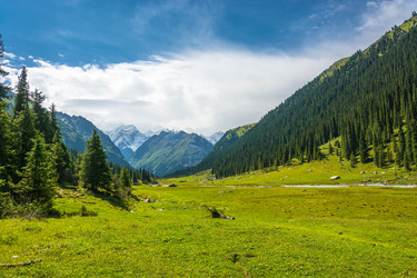 Similar image 12988796