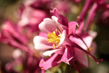 Similar image 12983361