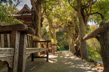 Similar image 12983363