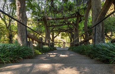 Similar image 12983364