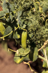 Similar image 12983382