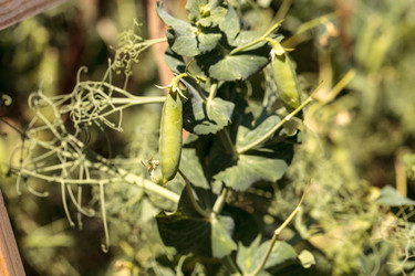 Similar image 12983383