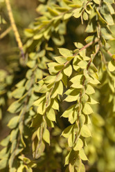 Similar image 12983385