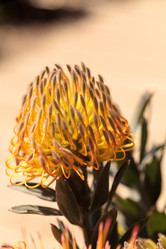 Similar image 12983386