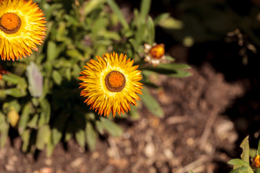 Similar image 12983389