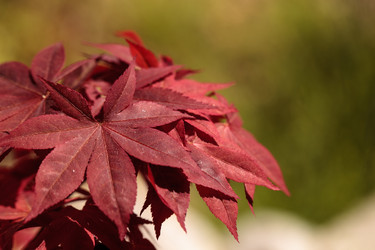 Similar image 12983393