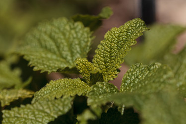 Similar image 12983394