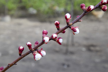 Similar image 12993031