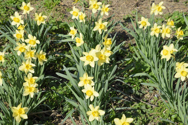 Similar image 12990301