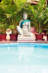 Similar image 12978441