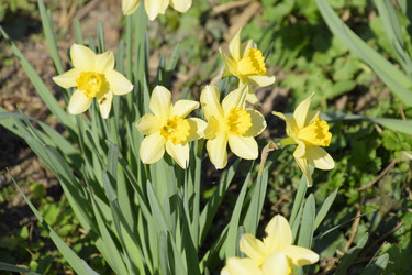 Similar image 12990302