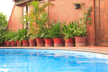 Similar image 12978445