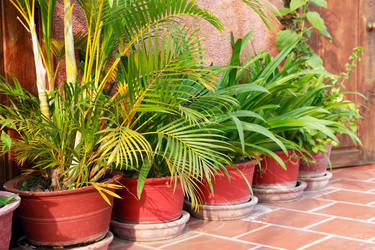 Similar image 12978451