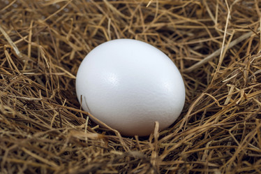 Similar image 12996667