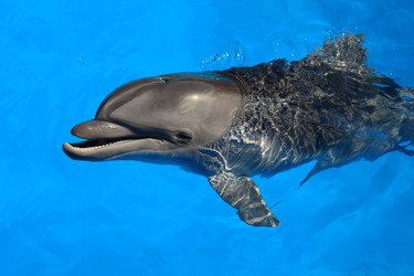 Similar image 12985104