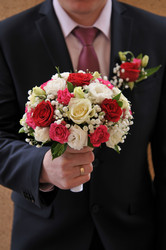 Similar image 12995221