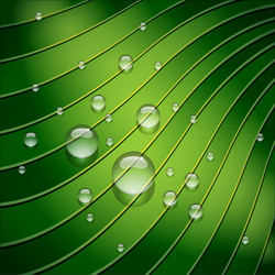 Similar image 12985579