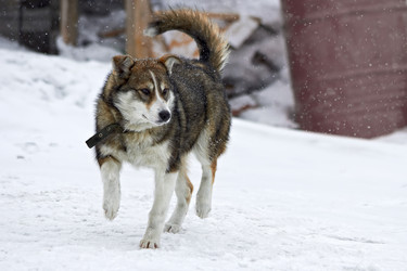 Similar image 12987204