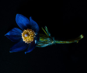 Similar image 12981464