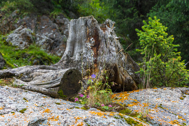 Similar image 12988858