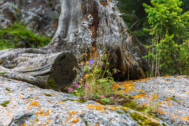 Similar image 12988859