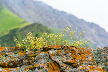 Similar image 12988864