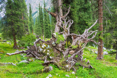 Similar image 12988878