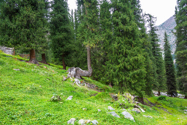 Similar image 12988879