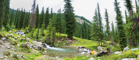 Similar image 12988927