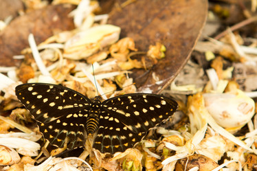 Similar image 12987395