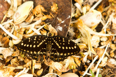 Similar image 12987396