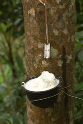 Similar image 12987402