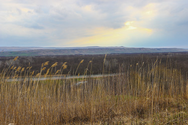 Similar image 12987162