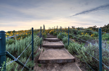 Similar image 12983376