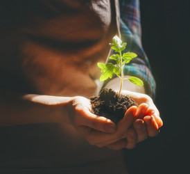 Similar image 12978838