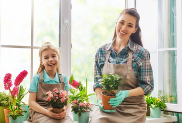 Similar image 12978839