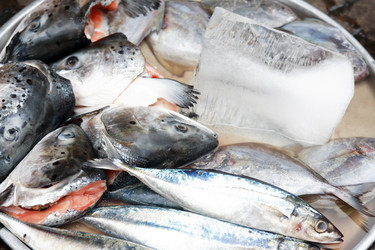 Similar image 12985727