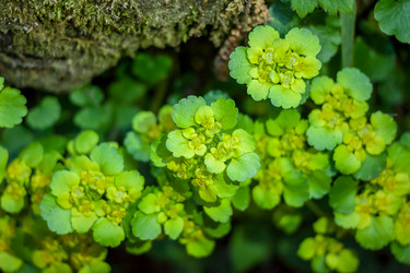 Similar image 12996434