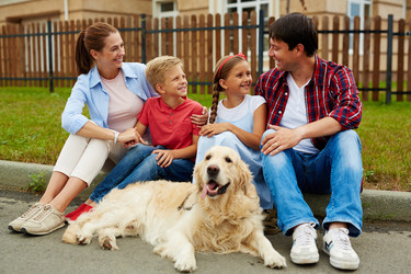 Similar image 12979202