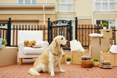 Similar image 12979203