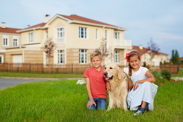 Similar image 12979243