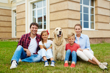 Similar image 12979247