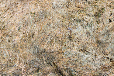 Similar image 12987054