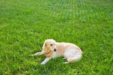 Similar image 12979263