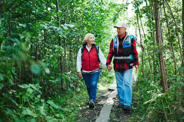 Similar image 12979286